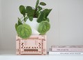 lillemor_lifestyle_productshot_001