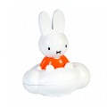 rubotoys_nijntje_regenmaker_badspeelgoed