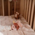 0034922_giftset-knuffels-fairy-garden_550.jpeg