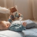 0033638_activiteitenknuffel-vos-forest-friends_550.jpeg