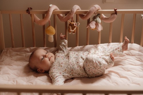 LD9012 -  Activity Spiral - Fairy Garden (5).jpg