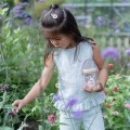 0026344_insectenpotje-fairy-garden.jpg