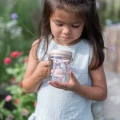 0026339_insectenpotje-fairy-garden.webp