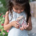 0026342_insectenpotje-fairy-garden.webp