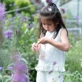 0026336_insectenpotje-fairy-garden.webp