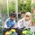 0026111_tuinhandschoenen-fairy-garden.jpg