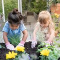 0026386_tuinhandschoenen-fairy-garden.jpg