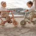 0027724_driewieler-pink-4-in-1.jpg