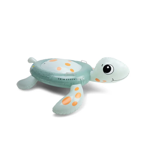 schildpad.webp