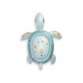 Turtle_Ride-on-Above-web.webp