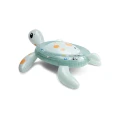 Turtle_Ride-on-Back-web.webp