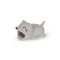 CPR0003_1.webp