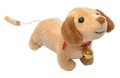 016914_HUND_700x700.jpg