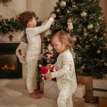 0031286_rosa-kerstboomhangers-grs.webp