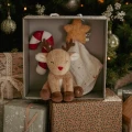 0031981_giftset-kerst-grs.webp