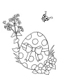 WebP-Bild.webp