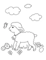 WebP-Bild.webp