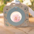 0033023_bug-viewer-forest-friends-ld9136-8-shopify-square.webp