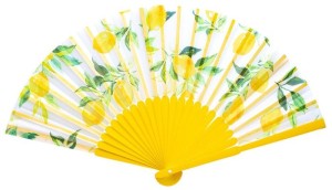 Moses Fächer Sommerbrise 