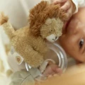 0034443_ring-rattle-lion-yellow-ld8314-4-shopify-square.webp