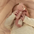 0034681_squeeze-rattle-flamingo-pink-ld8301-1-shopify-square.webp
