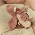 0034682_squeeze-rattle-flamingo-pink-ld8301-2-shopify-square.webp