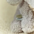 0034359_cuddle-elephant-grey-ld8362-3-shopify-square.webp