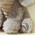 0034356_cuddle-elephant-grey-ld8362-4-shopify-square.webp