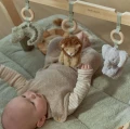 0034600_baby-gym-ld8310-9-shopify-square.webp