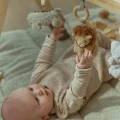 0034597_baby-gym-ld8310-1-shopify-square.webp