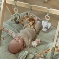 0034601_baby-gym-ld8310-11-shopify-square.webp