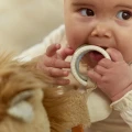 0034574_activity-cuddle-lion-yellow-ld8321-3-shopify-square.webp