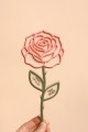 2J9A99433.jpg