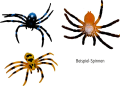 Screenshot 2026-06-19 at 21-46-51 Glibberiges Spinnen-Ei - Wild Cool 22809.png