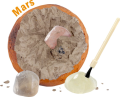 Screenshot 2026-10-22 at 17-06-10 Mars Edelstein-Ausgrabungsset Planet - Wild Cool 992343004.png