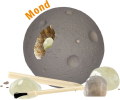 Screenshot 2026-10-22 at 17-05-48 Mond Edelstein-Ausgrabungsset Planet - Wild Cool 992343002.png
